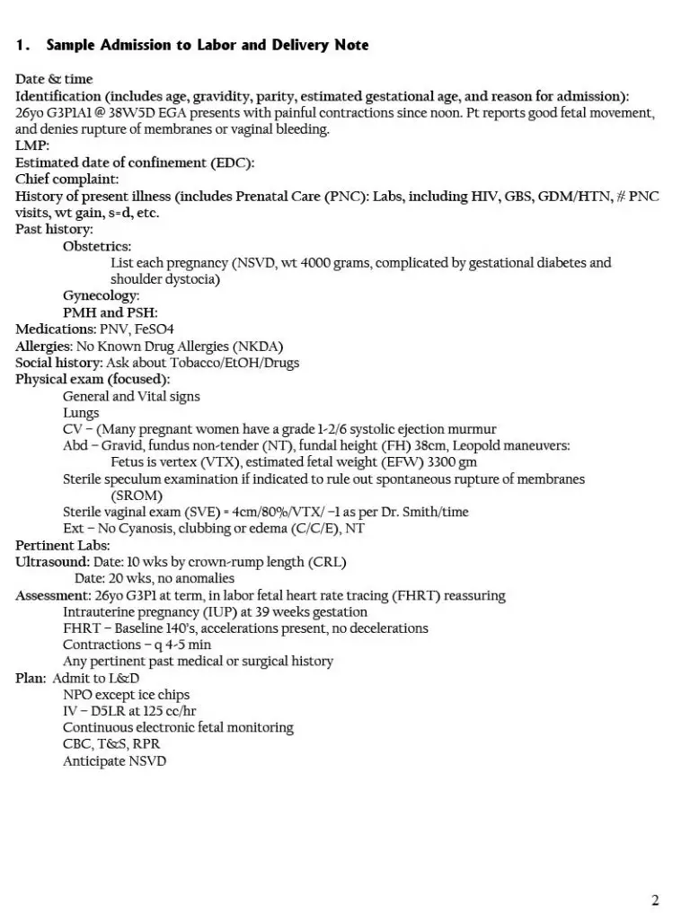 7 Physical Exam Templates (PDF & Word) Realia Project